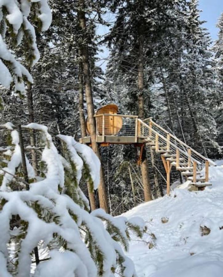Golden Tiny Homes Buitenkant foto